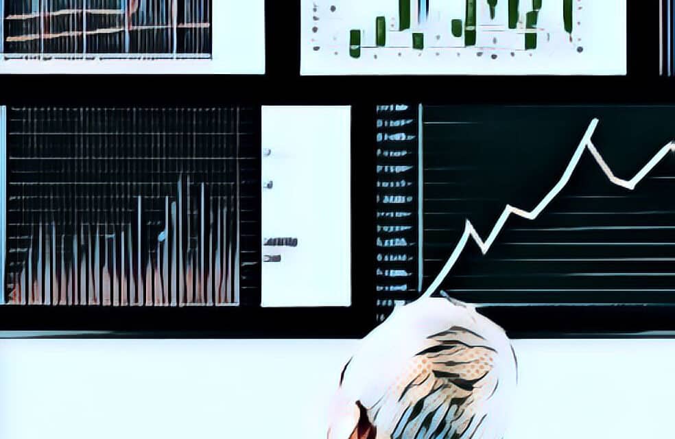 The Essential Product Market Fit Dashboard