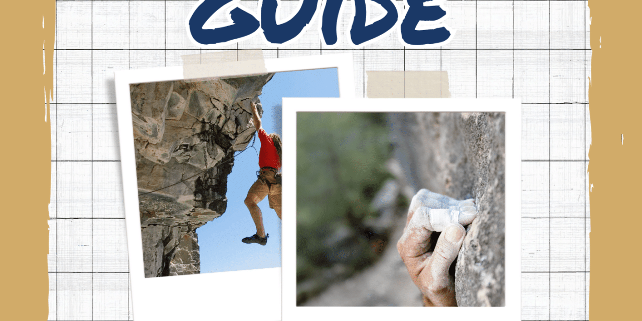 The Startup Survival Guide: For Startups with Less than 9 Months of Runway